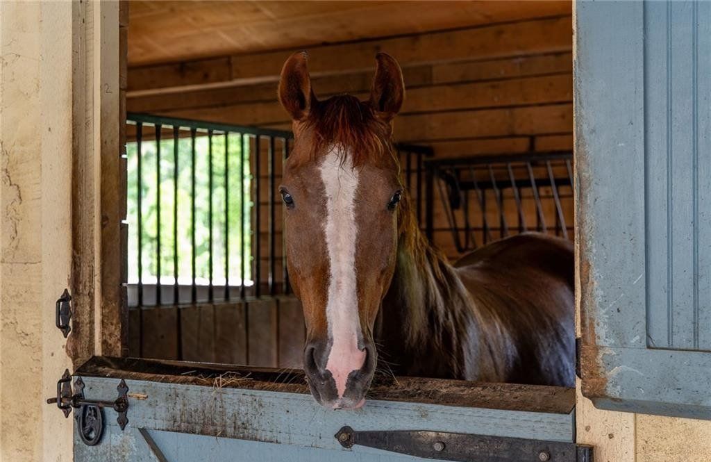 Exquisite 16-Acre Equestrian Estate in Greenwich, Connecticut, Listed at $35 Million