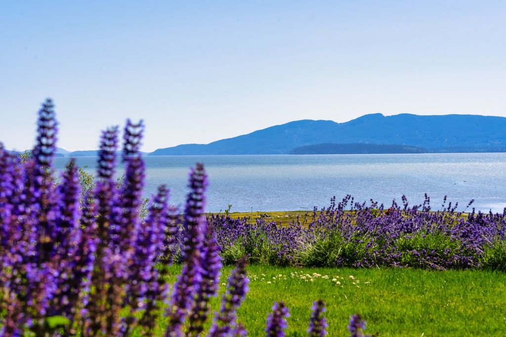 $2.88 Million Home in Washington's San Juan Islands Showcases Artisanal Elegance and Captivating Views