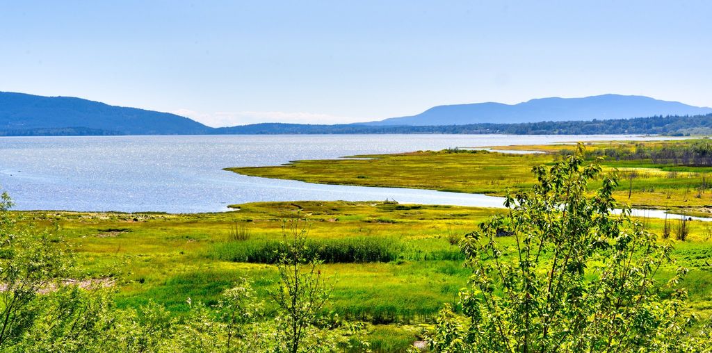 $2.88 Million Home in Washington's San Juan Islands Showcases Artisanal Elegance and Captivating Views