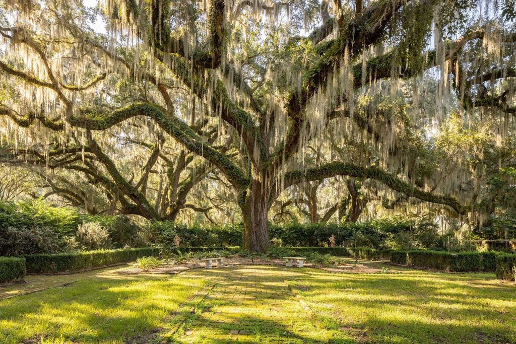 Bonny Hall: A Stunning Blend of Lowcountry Elegance and Modern Luxury in Yemassee, South Carolina, Listed at $11.5 Million