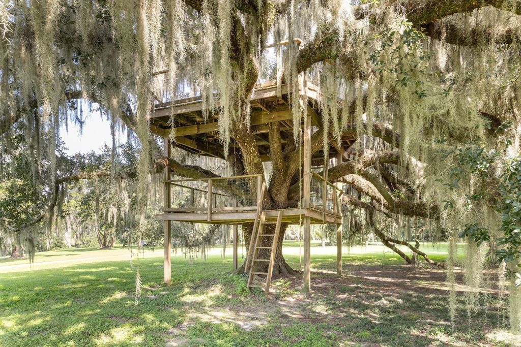 Bonny Hall: A Stunning Blend of Lowcountry Elegance and Modern Luxury in Yemassee, South Carolina, Listed at $11.5 Million