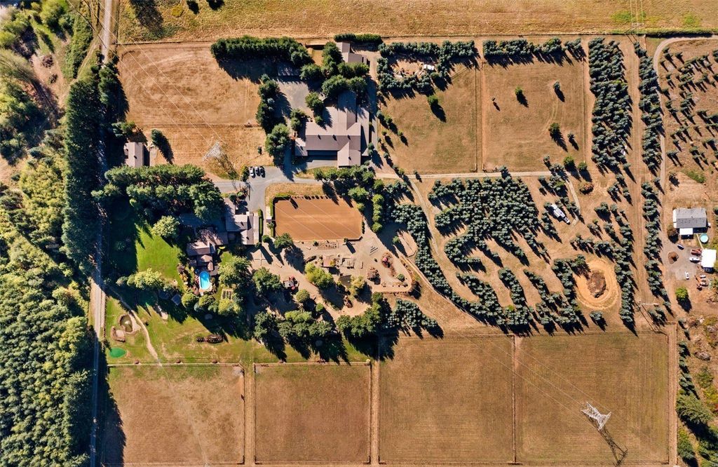 Silver Creek's $2.9 Million Gem: Where Luxury Living Meets Equestrian Excellence and Outdoor Entertainment