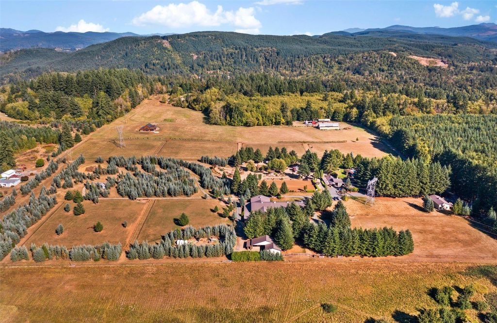 Silver Creek's $2.9 Million Gem: Where Luxury Living Meets Equestrian Excellence and Outdoor Entertainment