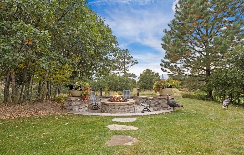 179 Ramshorn Drive Castle Rock CO 80108 22