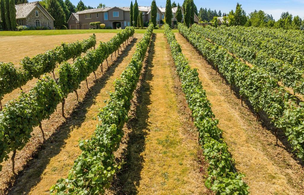 A French Country Estate Embracing Old World Craftsmanship in Tualatin Oregon Offered at 3.95 Million 39
