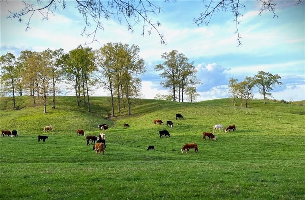 Georgias Premier 800 Acre Legacy Property Offers the Ultimate Country Lifestyle at 8.95 Million 13