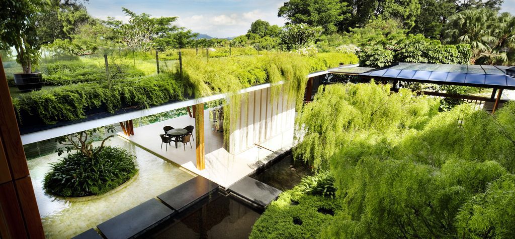Willow House, Tropical Oasis Integrates Nature and Play by Guz Architects