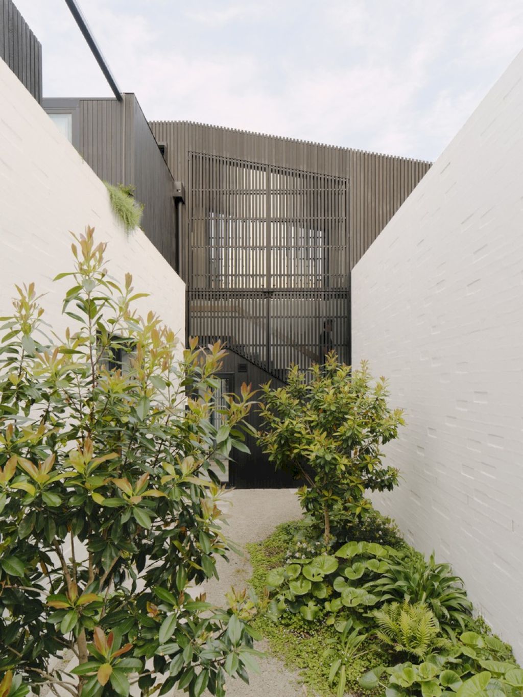 Courtside House in Australia by Tom Robertson Architects