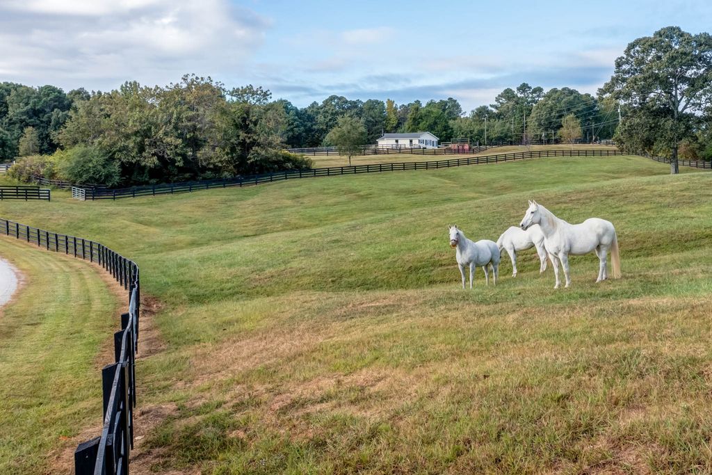 2860 Arbor Hill Road Home in Canton, Georgia. Situated on 40 acres of picturesque Southeast Canton countryside, Dara Hill Farm is a breathtaking 2019-built farmhouse estate that offers an unparalleled living experience. 