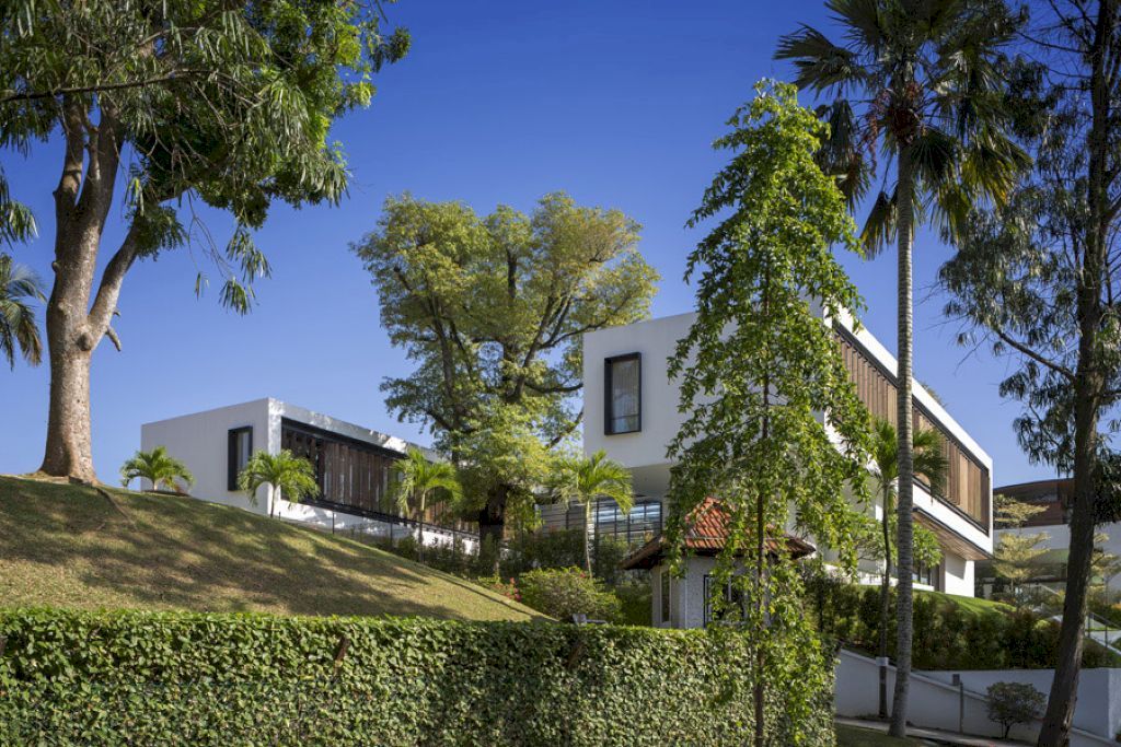 See Through House designed by Wallflower Architecture+Design
