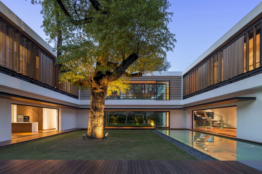 See Through House designed by Wallflower Architecture+Design