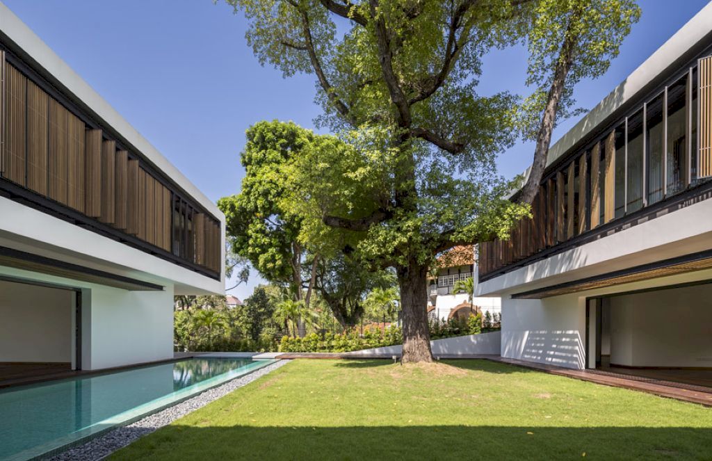 See Through House designed by Wallflower ArchitectureDesign 7