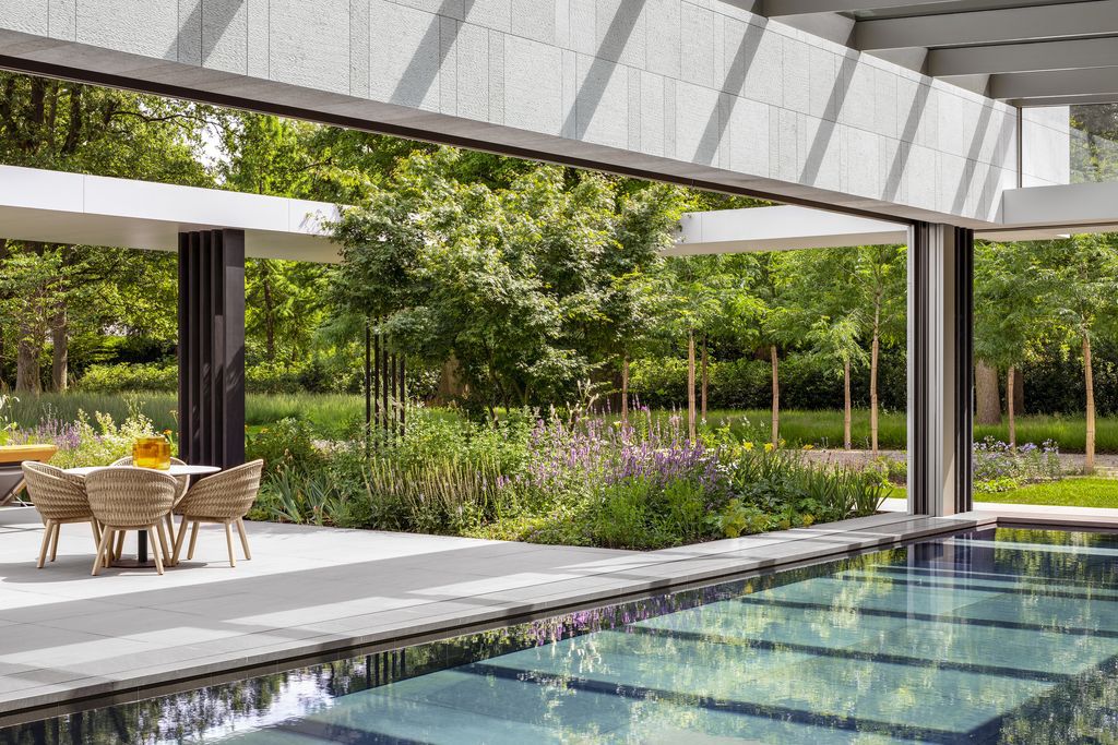 House Flanders, Modern house in wooded landscape by SAOTA