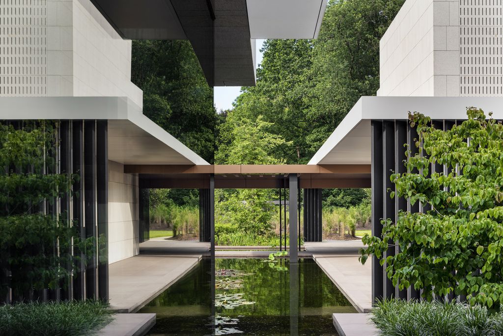 House Flanders, Modern house in wooded landscape by SAOTA