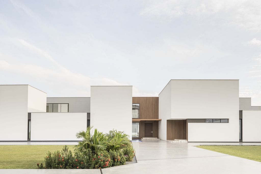 The Seasons House, Modern Oasis by MOST Monti Studio