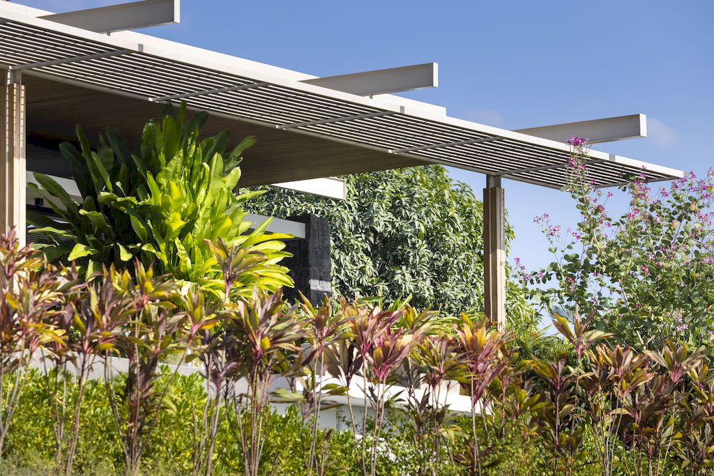 Pergola House, stunning tranquil beach house by Studio Saxe