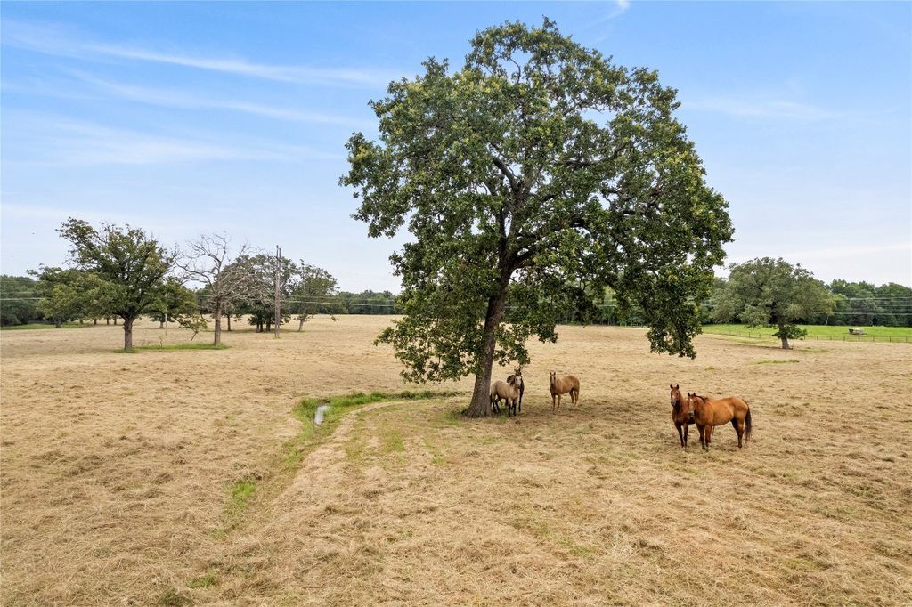 Discover East Texas Luxury Own the Prestigious KRB Ranch for 20 Million 15 1