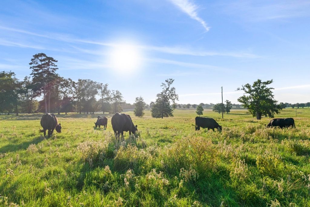Discover East Texas Luxury Own the Prestigious KRB Ranch for 20 Million 38 1