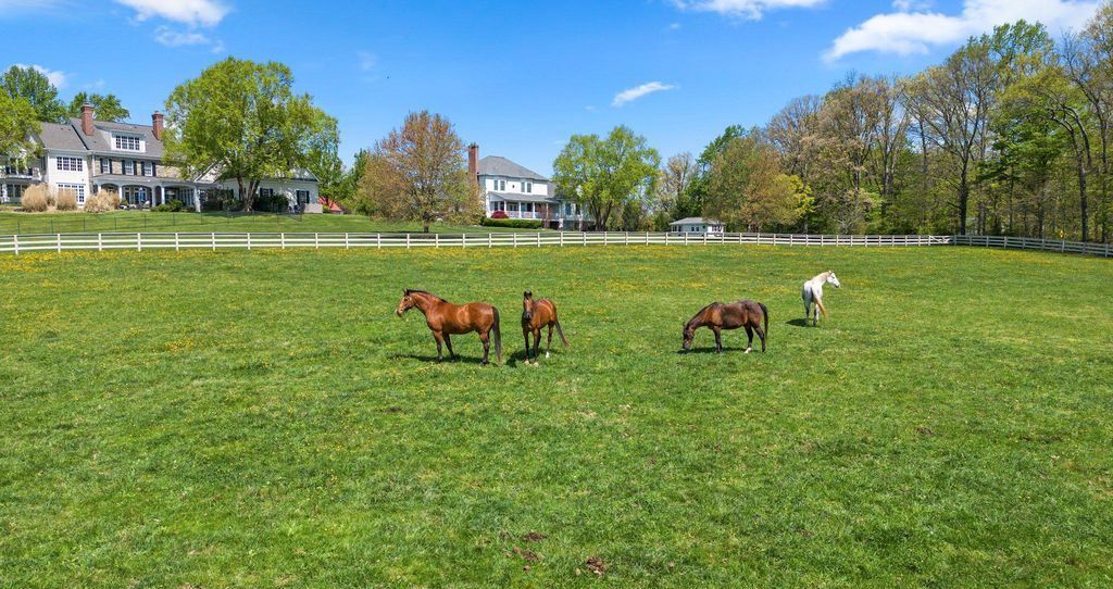 Maryland Equestrian Estate A Showcase of Unrivaled Quality and Sophistication Listed at 2995000 15