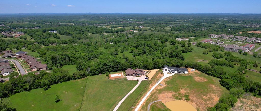 Mediterranean Charm in Wilson County Tennessee 3999900 for Your Dream Home 21