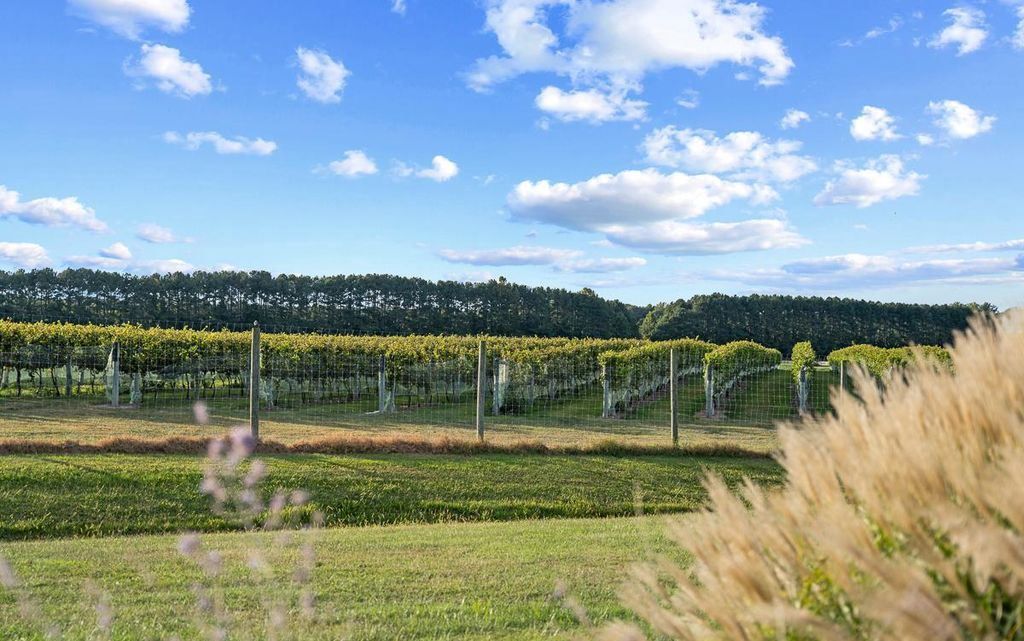 Stock Range Farm Luxury Meets Seclusion on Marylands Eastern Shore Asking 17.9 Million 40