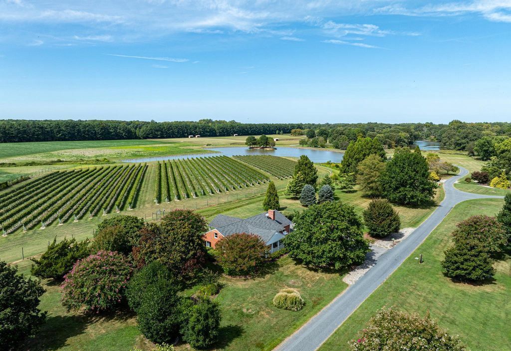 Stock Range Farm Luxury Meets Seclusion on Marylands Eastern Shore Asking 17.9 Million 41