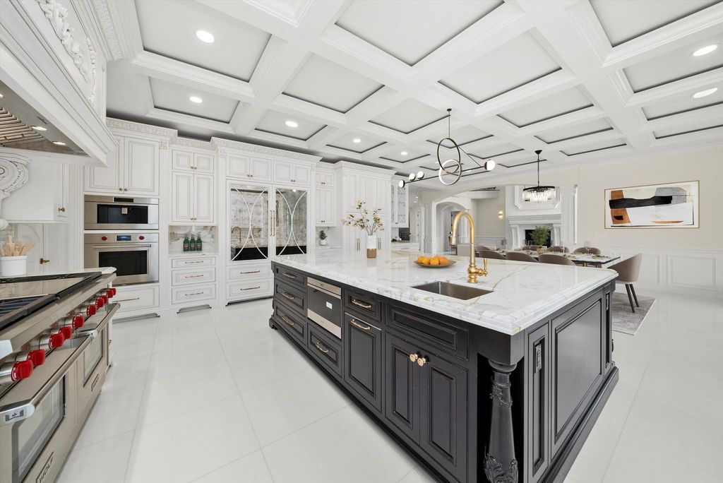 Inviting and Luxurious Custom Built Estate in Illinois with Timeless Architectural Details Listed for 6 11