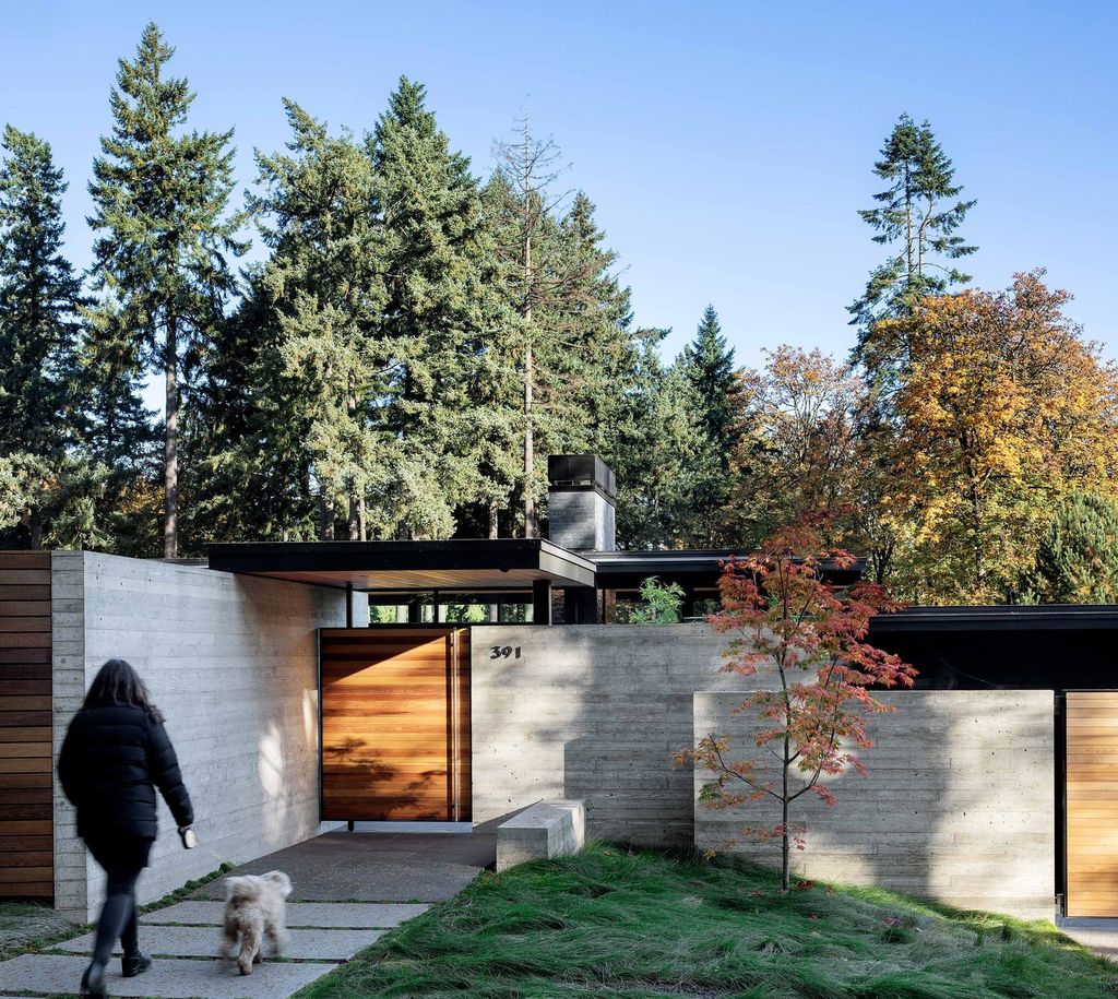Glass Link House in Oregon by Scott Edwards Architecture 3
