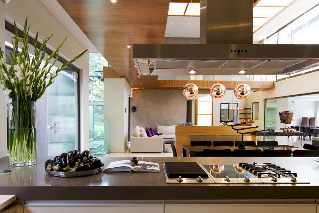 House Sed in South Africa by Nico van der Meulen Architects 18