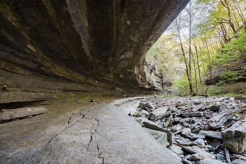 Unparalleled Tennessee Oasis 200 Acres with Iconic Dual Waterfalls and Serene Lake Creek Frontage Ask for 12.5 Million 54