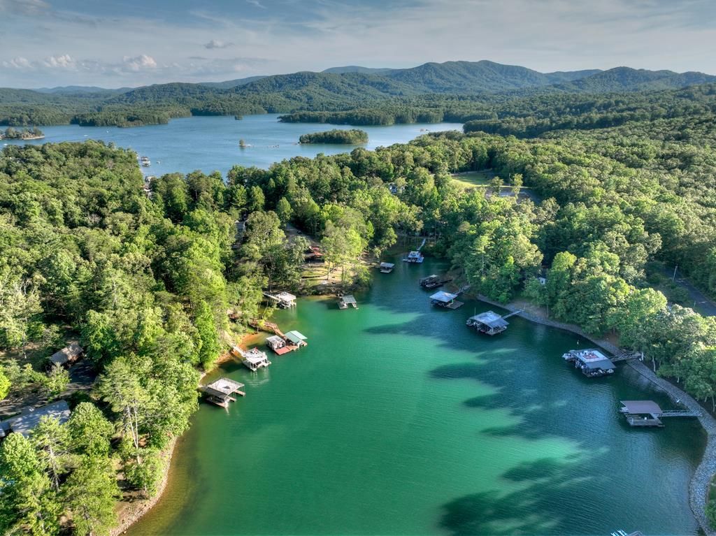 A Masterpiece by Keith Sumner Stunning Retreat on Lake Blue Ridge for 5.2 Million 64