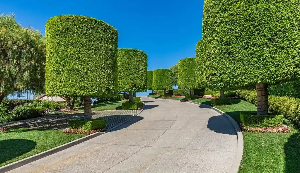 1309 Davies Dr Legendary Beverly Hills Estate with Ocean and City Views Listed for 75 Million 4 1
