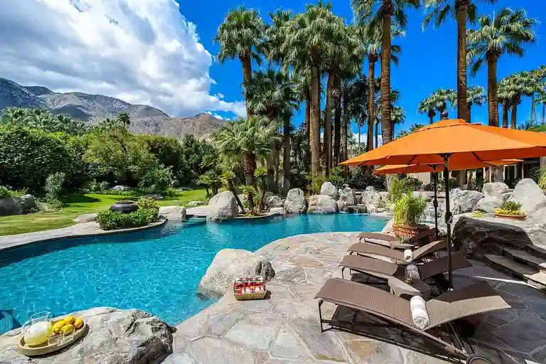 Daytime view of the pool area showing lounge chairs, orange umbrella, lush palm tree grove, and the natural rock landscaping, with clear views of the San Jacinto Mountains.