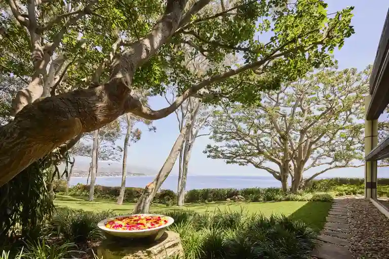 A tranquil garden corner with lawn space and large mature trees, featuring a dish of flowers, with the Malibu coastline visible in the distance.