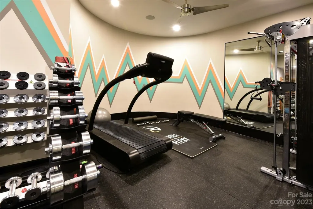 A Breathtaking Modern Masterpiece Overlooking Lake Tillery, North Carolina 8 Private home gym at 4059 Old Timber Way, Norwood, North Carolina, featuring treadmill, free weights, full-length mirrors, and modern fitness equipment.