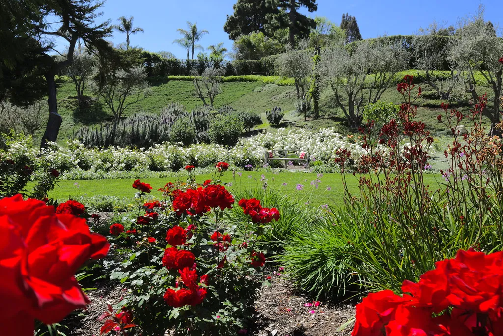 Hacienda de la Paz: One of the Largest Private Estates in California 13 Hacienda de la Paz landscaped gardens with manicured lawns flowering plants and hillside setting in Rolling Hills