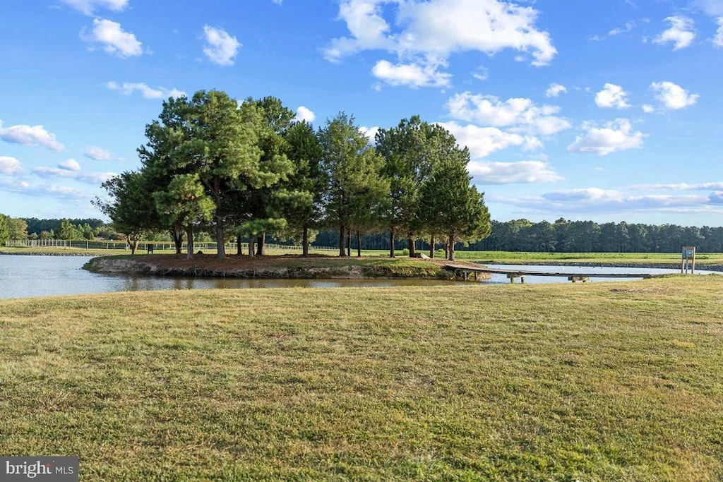27772 Sharp Rd – Pond and Private Island Pond and Private Island at Stock Range Farm, 27772 Sharp Rd, Easton, Maryland